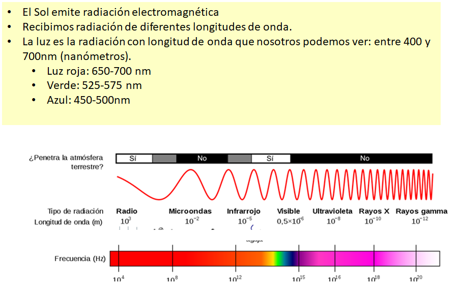 Espectro electromagnético.
Longitudes de onda de la luz visible.